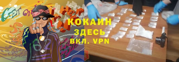 ПСИЛОЦИБИНОВЫЕ ГРИБЫ Щигры