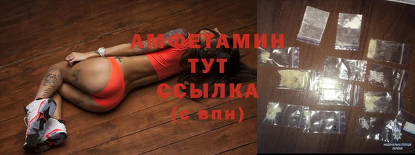 амф Новозыбков