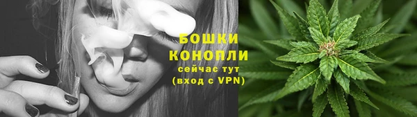 PSILOCYBIN Богородицк