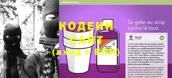 амф Новозыбков