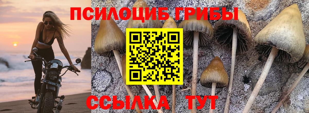 Галлюциногенные грибы мицелий Шарыпово