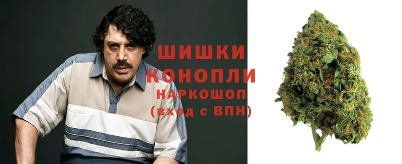 Бошки марихуана Bruce Banner  Шарыпово 